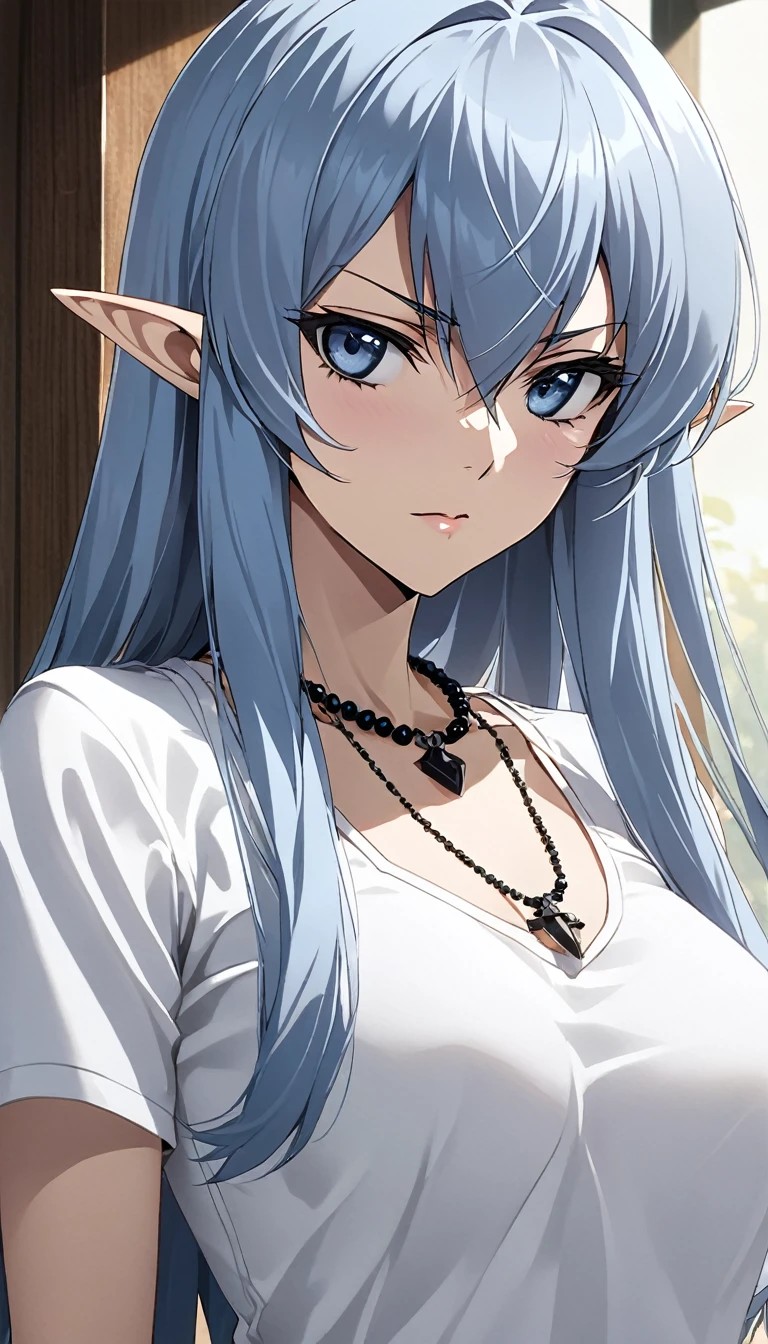 (Akame ga Kill　Esdeath:1.3)Pointy Ears, Anime Style, masterpiece, Accurate, Textured Skin, High image quality, Best Quality, High resolution, Attention to detail, Super detailed, Elf, Gorgeous adult woman, Long neck, Long Blue Hair, bangs, Perfect Eyes, Clevis, Soft light, High image quality, 4K resolution, Casual clothing, Beaded Necklaces