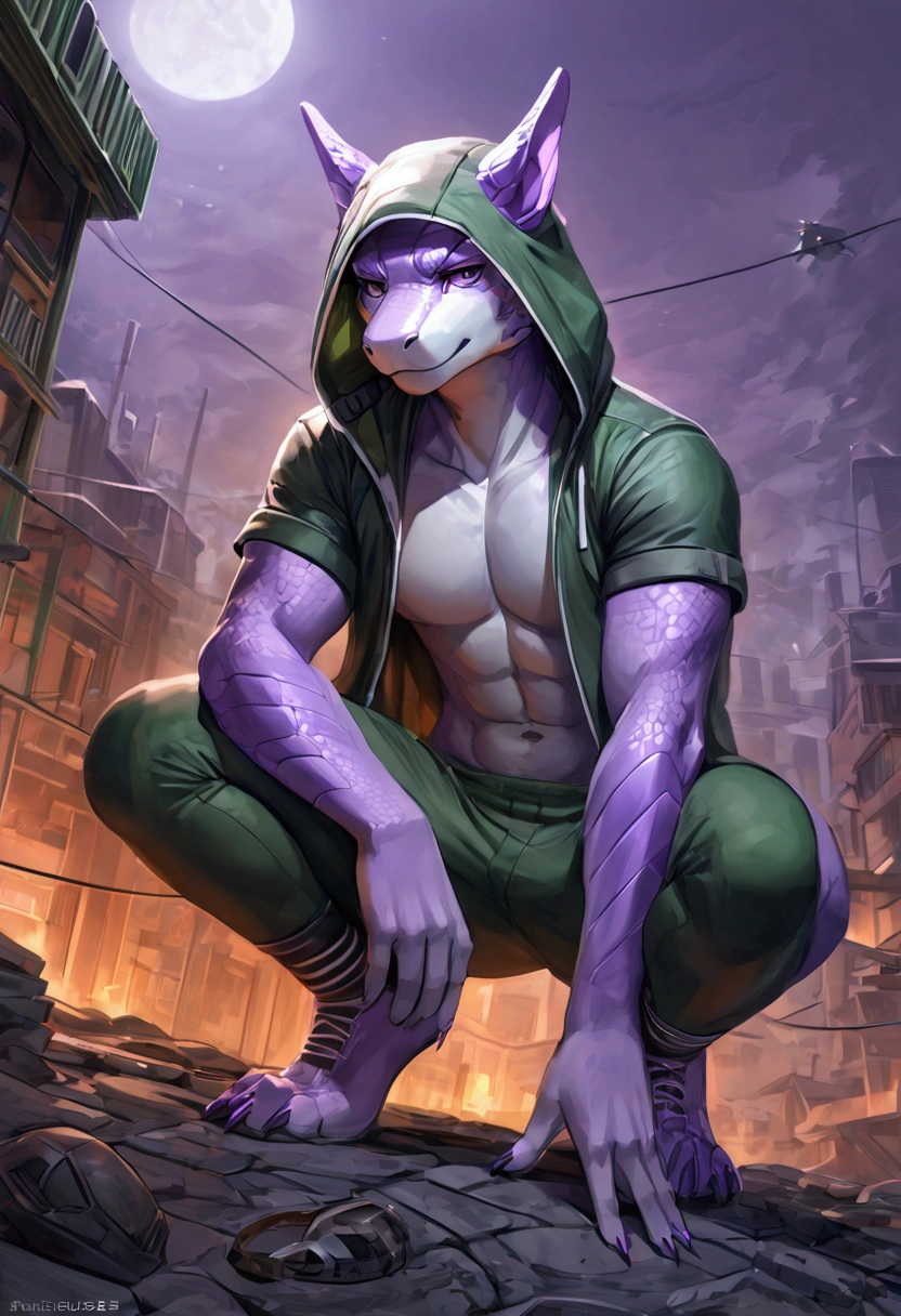 score_9, score_8_up, score_7_up, (masterpiece, best quality, very aesthetic, ultra detailed), intricate details, illustrative anime art of an green colored Komodo dragon anthro in a anime apocalyptic, detailed scales, Eyes light purple, wearing hooligan clothes, hooded, tatuados, futuristic favela scene at night, on top of a building, squatting down , athletic body,serious face,