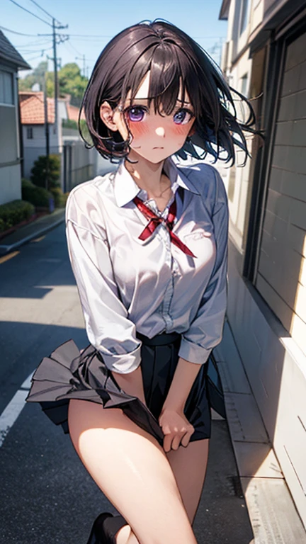 (masterpiece:1.2, highest quality), (Realistic, photoRealistic:1.4), Beautiful illustrations, (Natural Side Lighting, Cinema Lighting), ,
(View Viewer), 1 girl, Japanese, high school girl, Perfect Face, Cute and symmetrical face, Shiny skin, ,
(Long Hair:1.5, Messy Hair:1.2, Silver Hair), Swept-apart bangs, Emerald green eyes, Droopy eyes, Long Eyelashes, (:0.6),
Beautiful Hair, Beautiful Face, Beautiful fine details, Beautiful clavicle, Beautiful body, Beautiful breasts, Beautiful thighs, Beautiful feet,
((Symmetrical clothing, Light blue collared shirt, Grey pleated skirt, Blue checked bow tie), Pink Panties, ), Black socks,
(Beautiful views), Daytime, School rooftop, (Look forward), (Annoyed expression, Blushing, Embarrassed expression), (((Pulling on skirt, Wind power increase))),