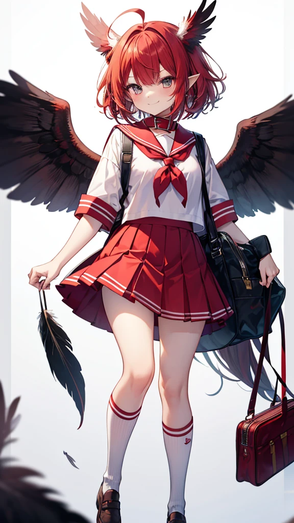 No underwear, short transparent sleeves, miniskirt, black knee-length stockings, long pink hair, scarlet wings, sweet smile, skirt lifted up, long hair to the waist, dagger in hand.