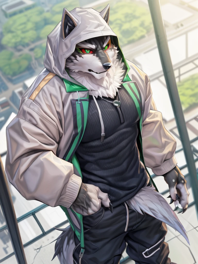 monomasa, furry, male, solo focus, wolf, tail, by kiyosan, by yupa, by Pino Daeni, (by null-ghost:0.8), (by drks:0.2), white hooded coat, hood up, pants, detailed eyes, black pupils, green eyes, red sclera, (yellow eyeshadow:0.8),  high-angle view, close-up, 