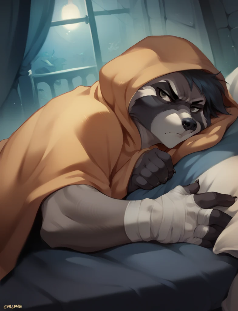 A black and white raccoon, Hairstyle (Pompadour) with open hood cloak, bandages on hands and shorts, Serious, lying on a bed, finger pointing at the stomach, night low lighting.