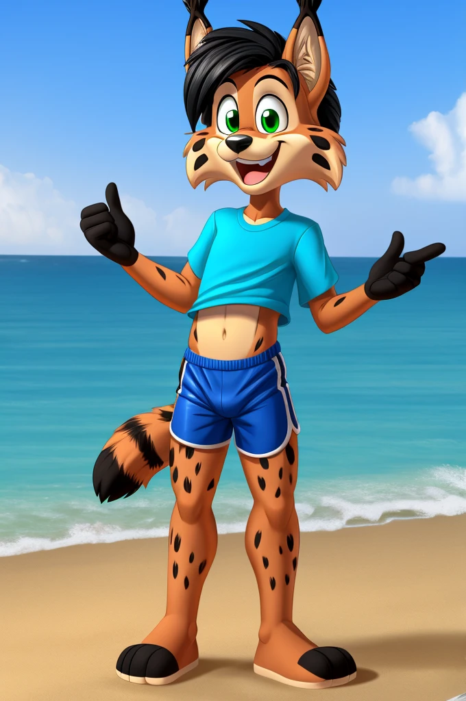 Lynx cartoon guy slim in blue lycra shorts and a t-shirt on the beach with a happy face green eyes black hair black fingers big black feet striped tail fluffy full length