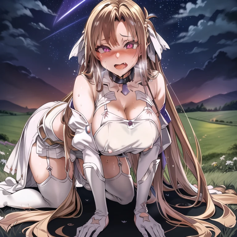 (hyper extreme detailed), (masterpiece), (hyper extreme), (photorealistic), CG, (colour:1.2), solo, cowboy shot, looking at view, 1girl,stacia, bangs, brown hair, long hair, very long hair, brown eyes, (open mouth:1.3), (leashed collar:1.3), (large breasts:1.1), bare breasts, (nipple piercing:1.1), thighhighs, gloves, dress, cleavage, bare shoulders, brown eyes, very long hair, standing, full body, white gloves, white dress, armor, white thighhighs, garter straps, fantasy, white armor, (crawl on all fours:1.5), (lie face down:1.5), (midnight sky, trail, hillside, countryside, stars:1.3), nsfw, orgasm, (sensual fallen smile:1.1), (heart-shaped pupils:1.2), (tongue out:1.2), (vulgarity:1.3), (fucked silly:1.3), (steam:0.7), (wet:0.7), (trembling:1.2), (trembling effect:1.3), (drooling:1.1), sweat