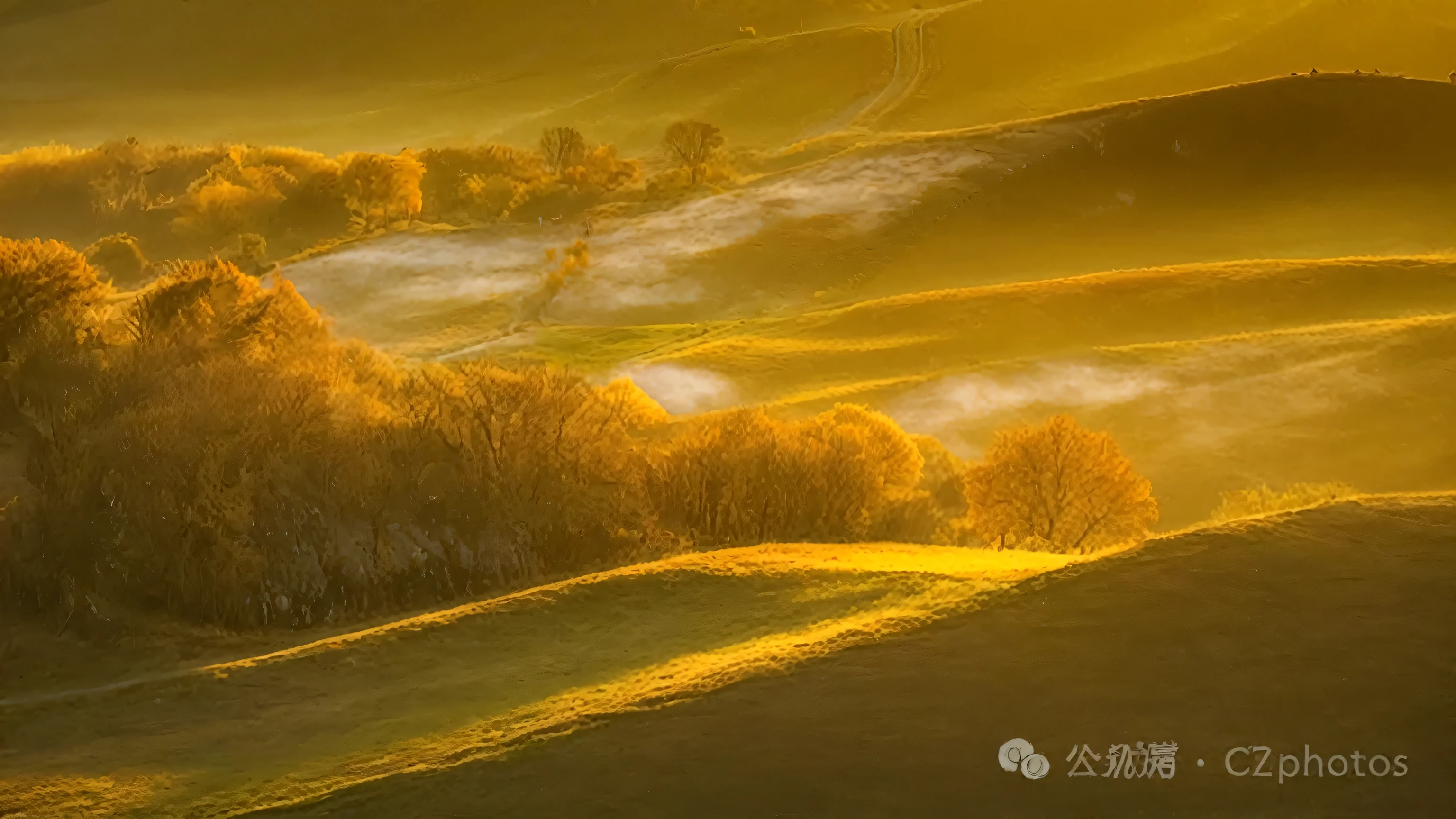  Stunning views of a valley with trees and roads in the distance, Golden Grassland , Golden Morning,  autumn sunrise warm light , Warm and beautiful scene, Soft golden light, by Xia Yong, Soft autumn light, Autumn Light, Sunny amber morning light, prime time照明 , Beautiful backlighting, Sunny landscape, prime time, early morning lighting