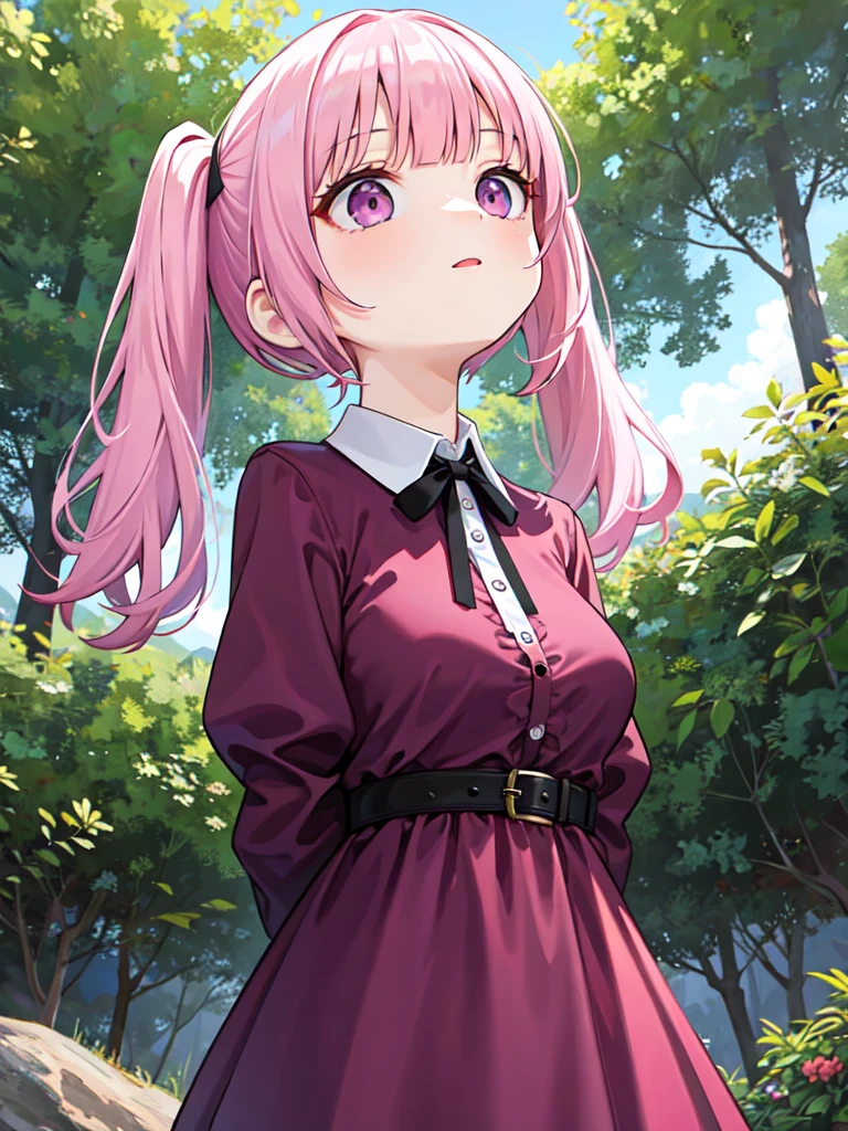 (best quality, ultra detailed:1.2), girl, pink hair, twintails, blunt bangs, round eyes, dark purple eyes, upper body, arms behind back, breasts, forest, path, collared dress, long sleeves, (looking up:1.4), from side