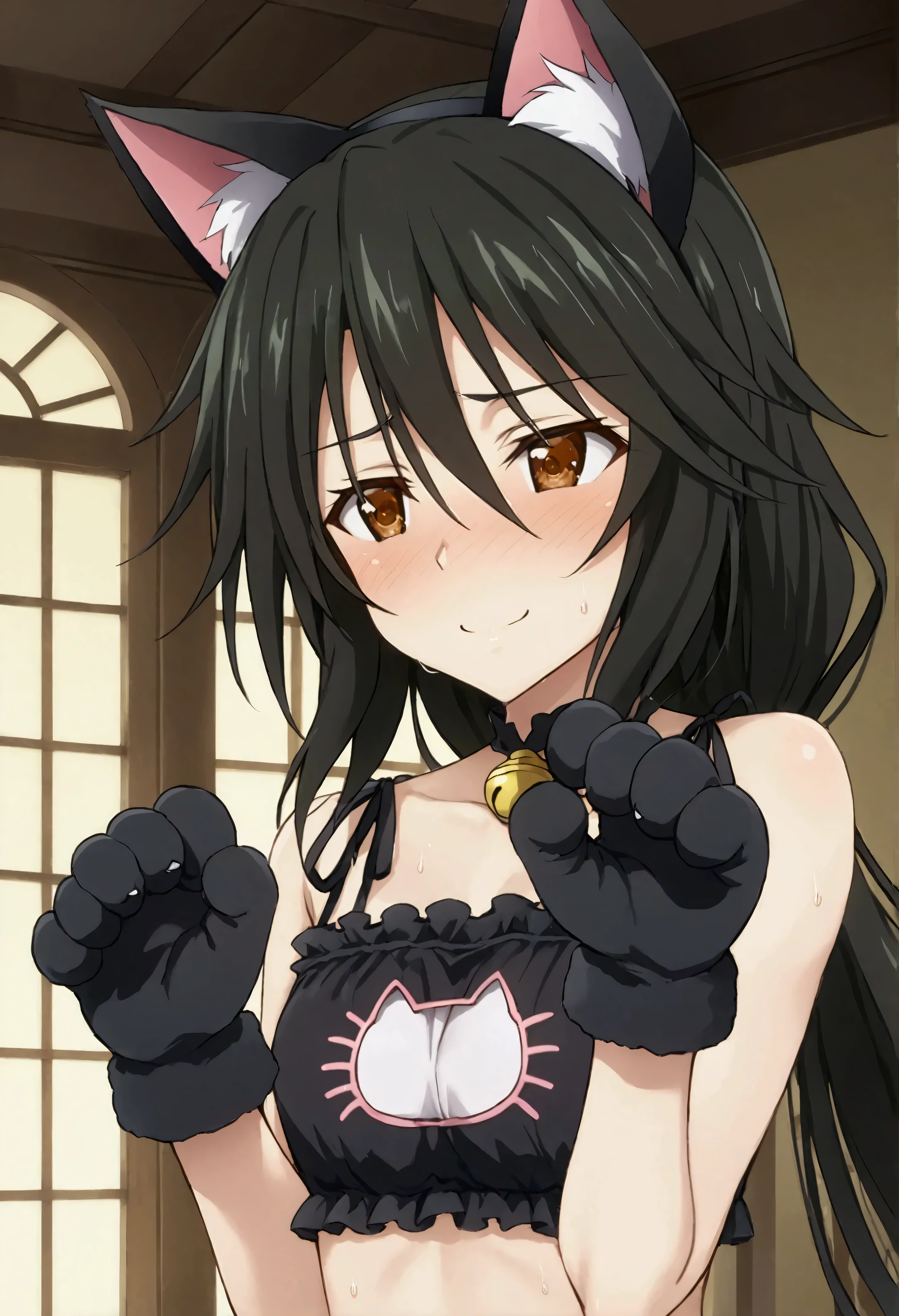 NSFW,masterpiece,Best Quality,High resolution, very detailed,Chifuyu Orimaru\(Infinite Stratos\),Long Hair、bangs、Black Hair、Hair between the eyes、 Brown Eyes ,sweat,Embarrassed,blush,smile,(Eye of the Void), cat lingerie,cat hand gloves ,Cat ears