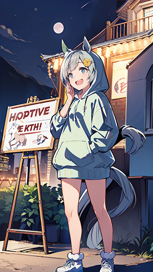 masterpiece, Best Quality,  High Resolution ,  very detailed,(((Seiun Sky))), ((( Horse Girl ))), ((( hoodie))), (((Standing at a distance))), (((Positive。))), (((Around town))), (((Full moon background))), (((Laughing。))), (((night))), ((( sign))), 