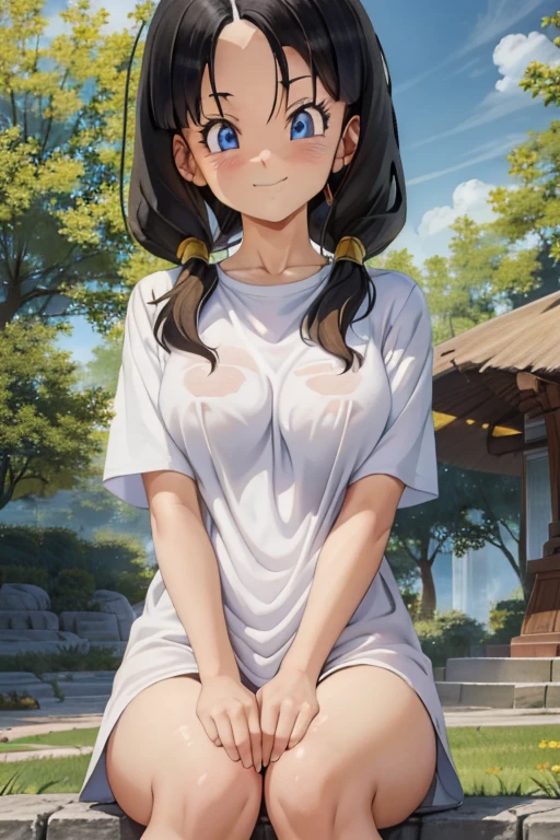 Better quality, hyper detailed, natural looking amateur photo, Videl, Saw 2, Low Twintails, White T-shirt, badge, sin calzon, vagina visible y depilada ,smile, forest, Standing with your legs apart, blue eyes, from the front, Arms behind the body, close-up, blush, sin calzon y la piernas abiertas, vagina depilada, ano visible, transparent t-shirt, pezones visibles