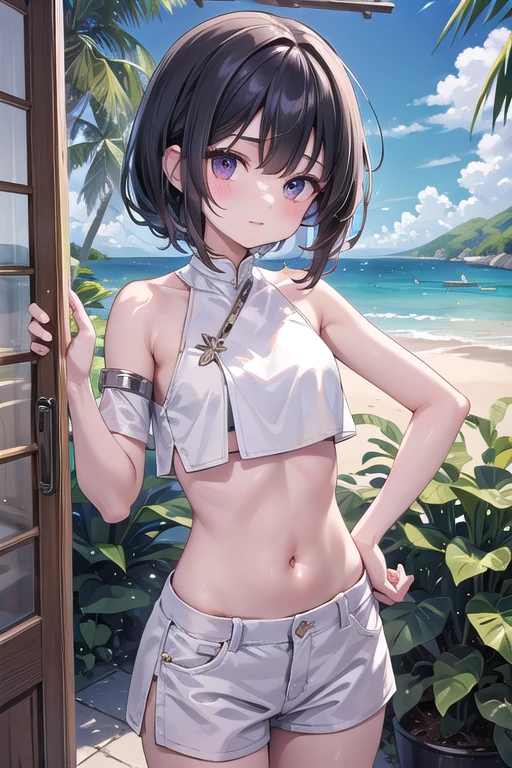 NSFW,Aarinko、short hair、Black Hair、Bobcut、(Micro Bikini:1.5),Embarrassed,blush,(Being sexually aroused:1.5),(Perfect hands),(Perfect Anatomy),(masterpiece),(highest quality),Looking up,Lonely look,beach,Palm tree,Rock Shade