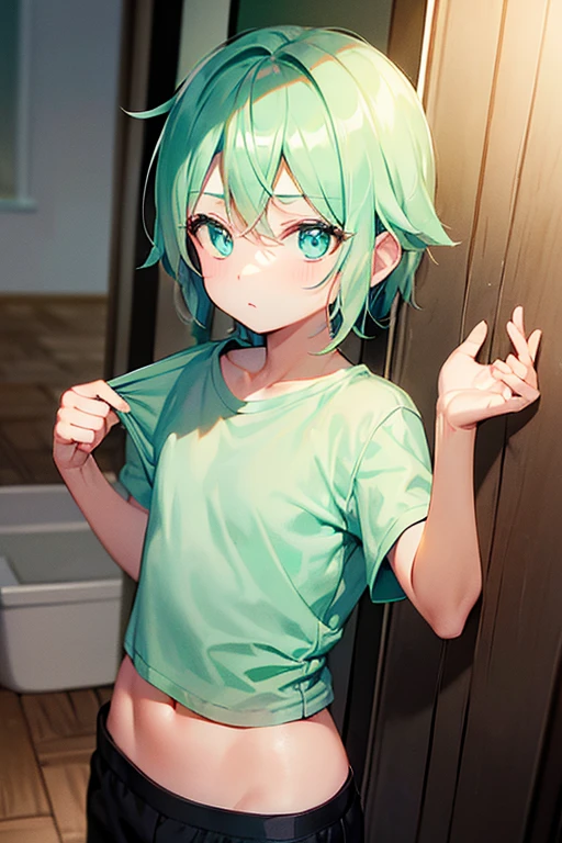 (((Highest quality,High resolution,Pixel perfect,Noise Reduction,Beautiful Anime,Smooth Skin,Glowing Skin,Soft Skin,Detailed face,１people,No text,No dialogue,No sound effects,No manga))),(((Sinon,Green Hair,short hair,Green Eyes,Hairpins in the bangs))),(((naked,Beautiful nipples,Thighs))),((front,Eyes meet,White bedroom,Are standing))