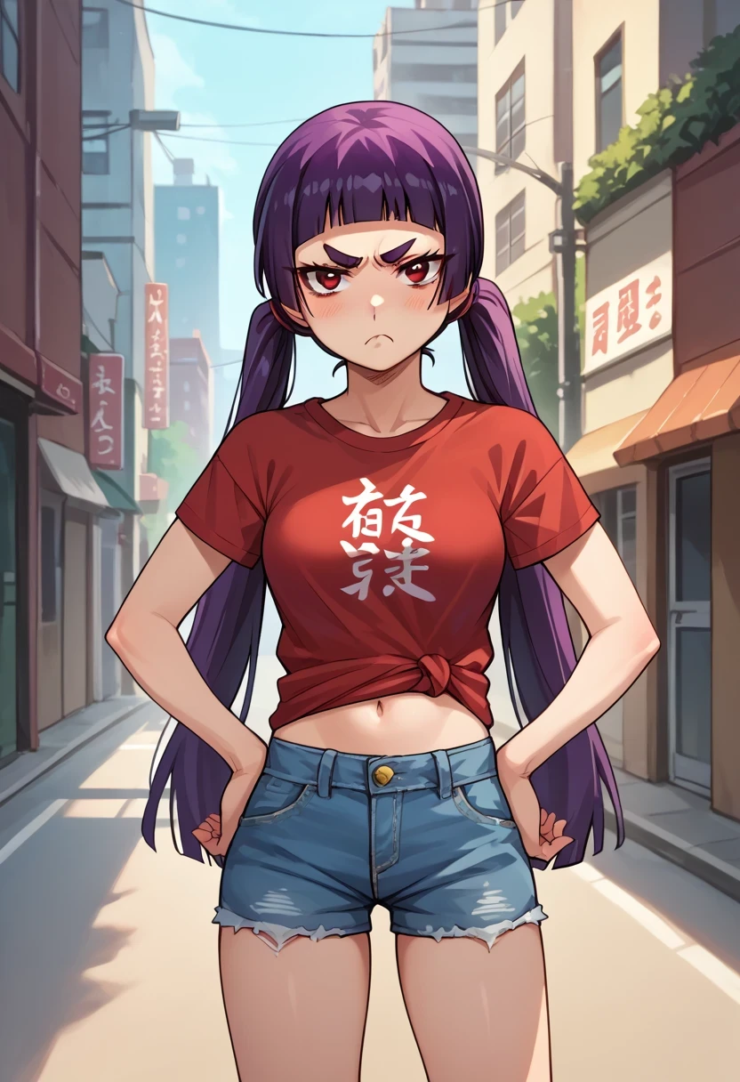 score_9, score_8_up, score_7_up, score_6_up, source_anime, 1girl, solo,izumokamiki, eyebrows, dark purple hair, low twintails, blunt bangs, red eyes, red t-shirt, denim shorts, medium breasts, hands on hips, pout, blush, city, looking at you