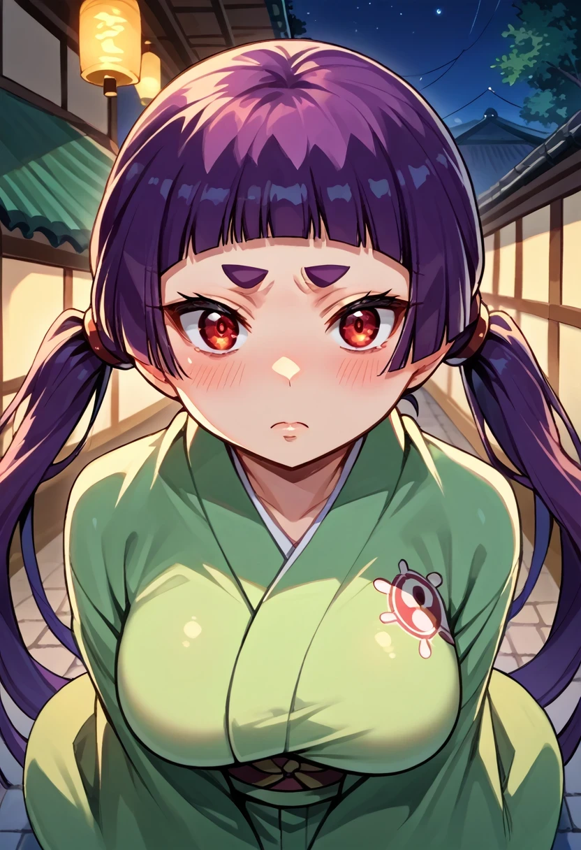 score_9, score_8_up, score_7_up, score_6_up, source_anime, 1girl, solo, izumokamiki, eyebrows, dark purple hair, low twintails, blunt bangs, red eyes, green kimono, blush, from above, night, looking at you, big breasts