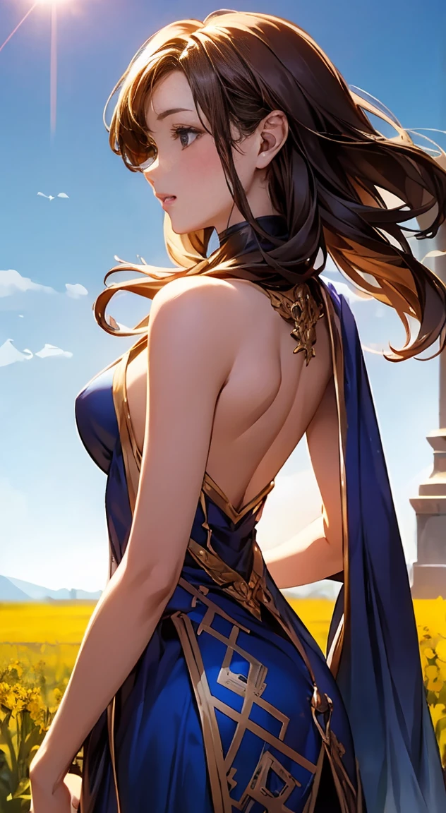 Elf woman in a dress, beautiful and elegant female elf, 2. 5d cgi anime fantasy artwork, Fantasy MMO,  is a prairie in the background, Back view of a female elf looking up at the sky, blue sky, Bright Sun,