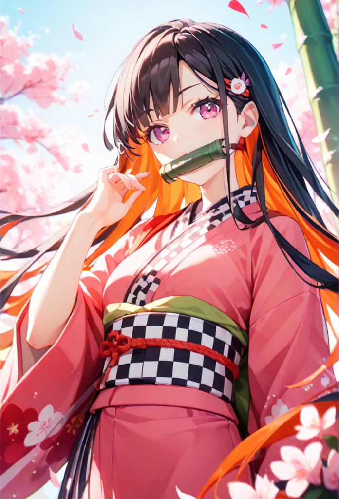 (SuperQuality:1.0) ~ (SuperQuality:1.2), Kamadonezuko, normal style, default outfit, 1 girl, kimono, pink eyes, gag, bit gag, long hair, kimono, bamboo, pink kimono, black hair, colorful hair, checkerboard obi, ribbon, gag　
BLAKE
Take off the kimono,
BLAKE
field