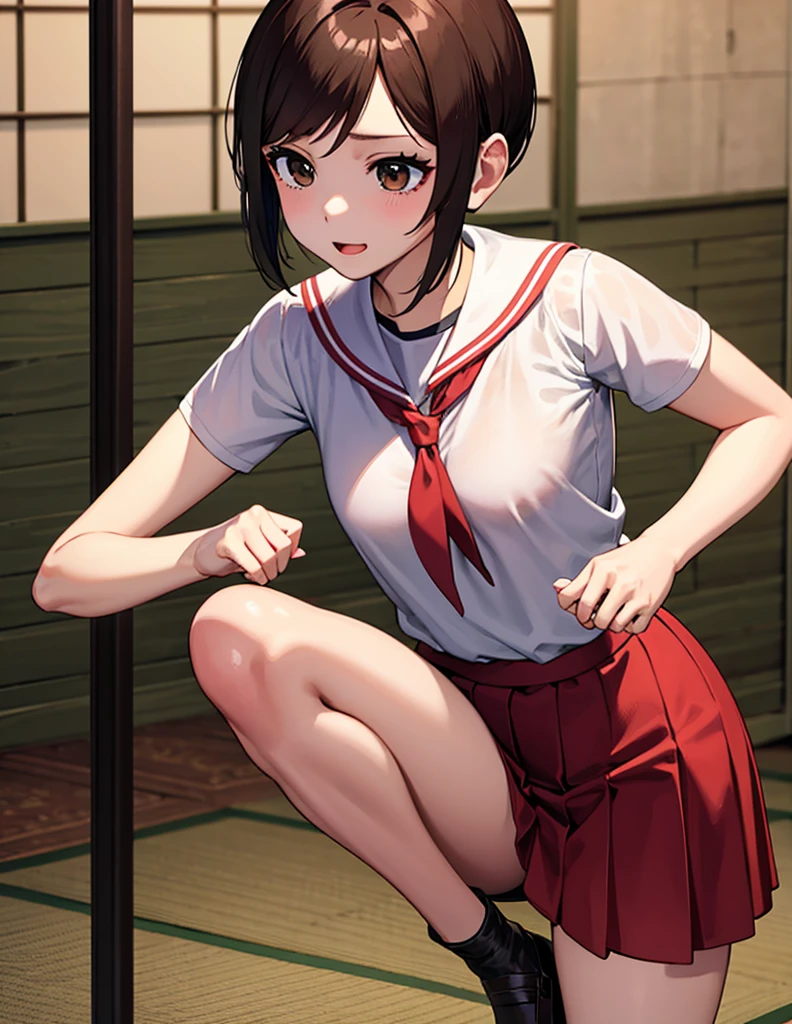 ((masterpiece, repay,   very detailed ,   Very Beautiful 8K Scene Wallpaper )), , A little thick,Side part semi-short,  medium hair  ,Ireneの前髪,  reddish dark brown hair,Black and subtle red,Side part semi-shortヘア,Messy Hair,  slightly reddish brown eyes ,Monkey Fist User player、Sailor suitスタイルのユニフォーム、Large bust、Sailor suit、  miniskirt  、Monkey Fist User、Expression of being kissed by 、Inside the Monkey Fist User Gymnasium、、On the tatami、discovery、One Girl、whole body、Fighting stance、Combat Status、Irene、 bust size up 82 , Under bust size 69, Tiny B c up 、  Grandfather Was a Martial Artist  、Lost his parents at a young age、Height 159.5cm、   high school girl uniform、High school uniform tie、女子高生の  miniskirt  、Ireneの匂い、可愛いだけじゃなくて強いIrene、PS3オリジナル版のIrene、982連勝したIrene、Max win streak 982 consecutive wins 、に両手を掴まれたIreneの姿、にキスされたIrene、Ireneはを振り払おうとしても振り払えない状態、love affair