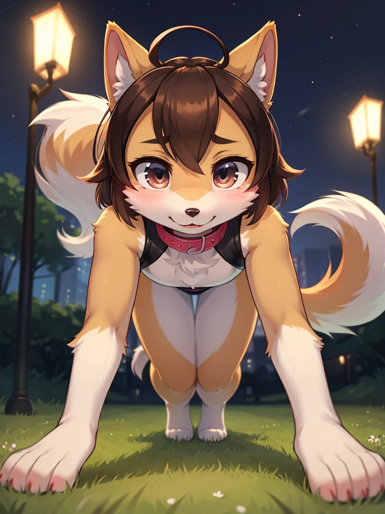 boy, squirrel, furry, bodyfur, tail, collar, bra, bottomless, gloves, boots, chibi, sparkling eyes, idol, hair bow, happy, full body, penis, testicles, park, sexy pose