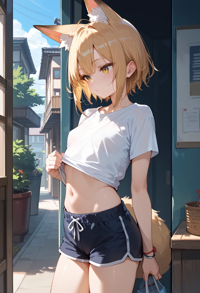 (masterpiece, Highest quality, High resolution) {{Artist: Shincos}} 1 person, alone, mature, short, 30 years old, Fair skin, Sharp eyes, Green Eyes, Thick Ass, Flat Chest, Erect nipples, short hair, Blonde, lips, smile, Stand Upright, looking at the camera, To the camera, beige shorts, White T-shirt, At sunset, On the street of Japan.
