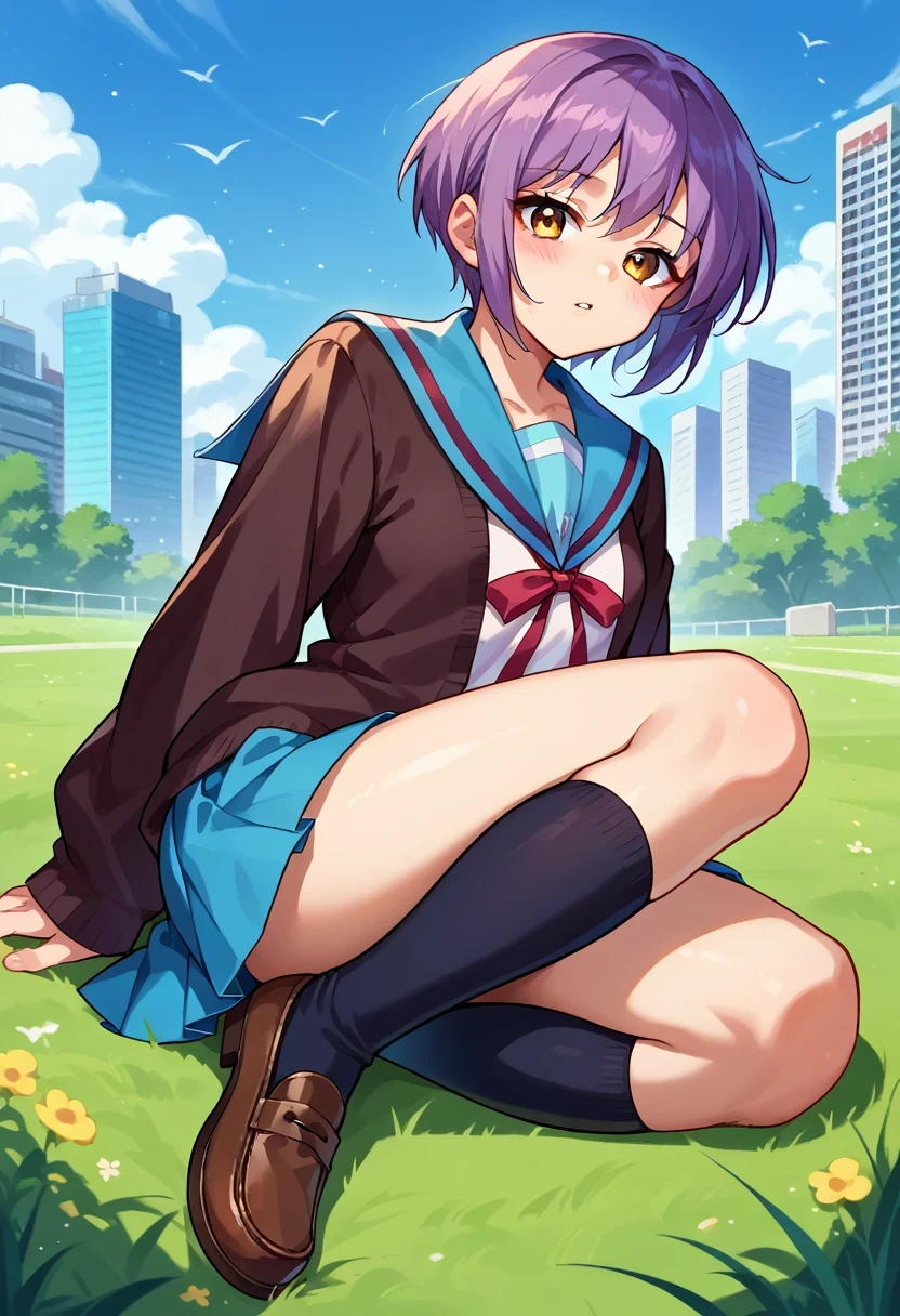 score_9, score_8_up, score_7_up, score_6_up, source_anime, 1girl, solo,  yukinagato, purple hair, short hair, amber eyes, black cardigan, blue sailor collar, white shirt, neck ribbon, pleated skirt, blue skirt, black socks, kneehighs, loafers, sitting, on ground, grass, blue sky, city, looking at you, parted lips, blush, full body