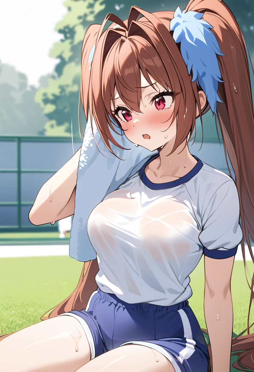 Best Quality、Daiwa Scarlet、Young girl、Firm breasts、White gym clothes、Navy blue bloomers、Reddish brown hair、 twin tails、lawn、Wiping off sweat with a towel