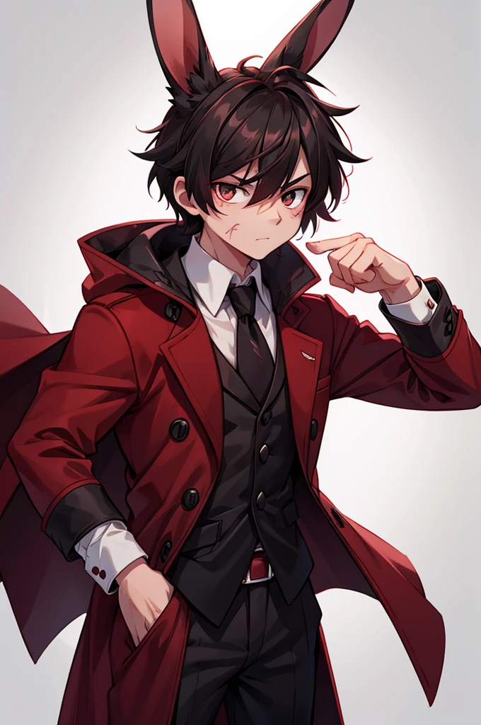  a young rabbit with a scar on his right eye ,  he is serious with a fearless look and wears a dark red overcoat, His coat color is black and white , 