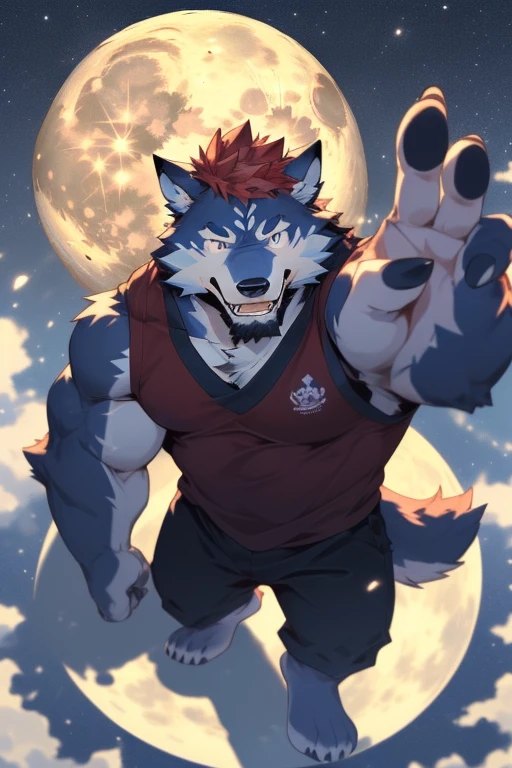 hairy, (wolf), (red hair:1.2), ( deep Blue-purple fur:1.3，solo, male, full body picture, dynamic poses, detailed background, Very detailed, lifelike, masterpiece, starry sky, warrior, Black Ninja Costume, barefoot, Visual audience, Cold expression, illustration, masterpiece, (very large full moon full of imagery:1.3), determination, looking at the camera, three-point perspective, (from above:1.3),(hand reaching towards to the camera:1.3)