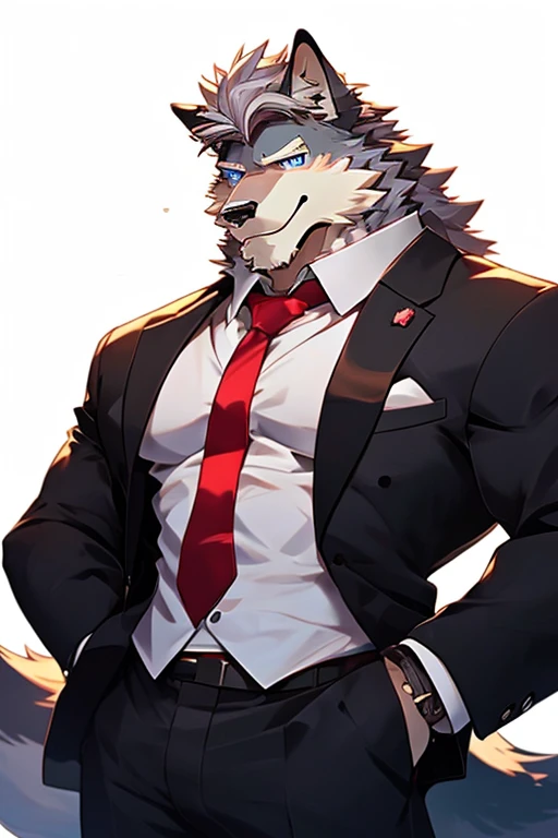 white background, front view, flexing, muscles, masculine, pubic hair, muscular, long white hair, navel hair, beard, furry, wolf, long tail, male, sweat, sweating, wearing boxer briefs, wearing suit(shirtless, suit, open suit, handsome), looking at viewer, smiling, blushing, cool, handsome