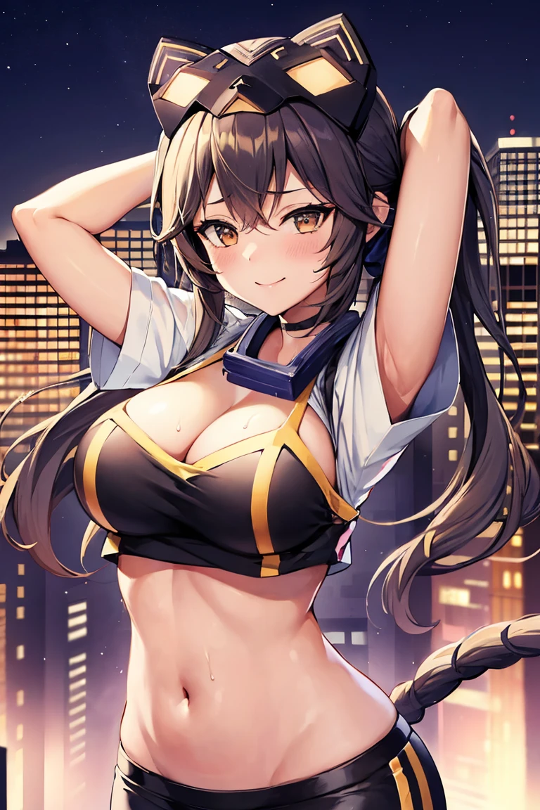 1girl in, (Chiquita:1.2), IP1, 1girl in, (Cat mask, croptop, Tight pants, Twin-tailed, Short sleeves, gloves), 
(Close Shot, Best Quality, hight resolution, 4K, Detailed Lighting, Shaders, NSFW), 

Smiling, blush, Sweat, 
Dynamic Pose, 
Skyscraper, Night, 
Looking at Viewer,
cleavage, Arms up, 
Focus,