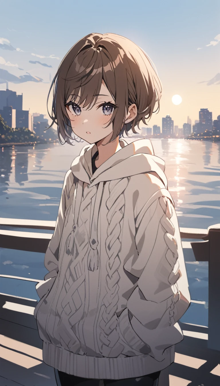 masterpiece, Best Quality,  Kampala,  very detailed ,(((Silk Flag Beloved ))), ((( standing in the distance))), (((Positive。))), (((On Bridge))), (((night))), ((( is laughing。))), (((lake))), (((full moon))), (((((( Kinuhata Ayai ))), ((( short hair))), (((Brown Hair))), (((Grey Eyes))), (((Food))), (((sweater))), ((( hoodie)))