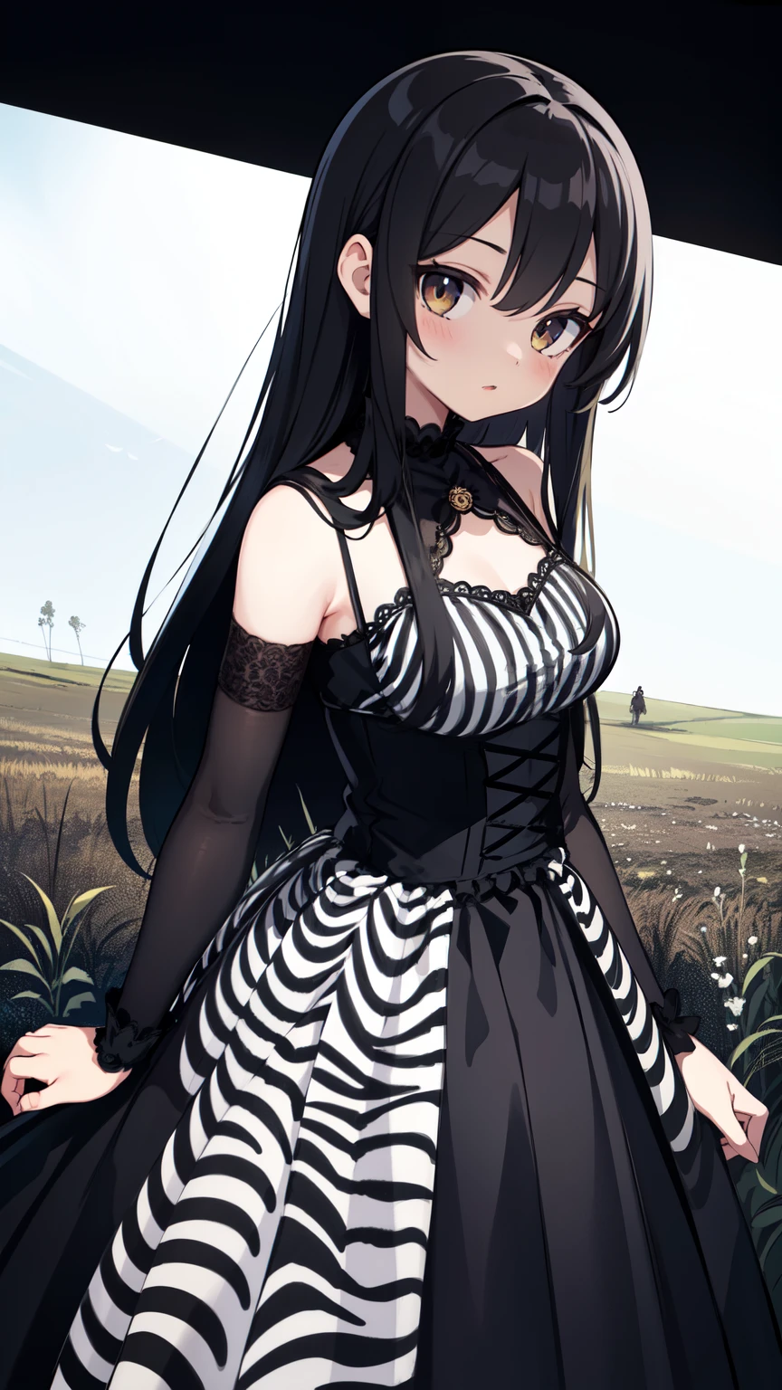 masterpiece,  best quality ,  1 girl,  upper body,  staring at viewers ,  Details,  zebra print , dress,  long skirt, Standing in the field,  dark color,  Knight , eclipse