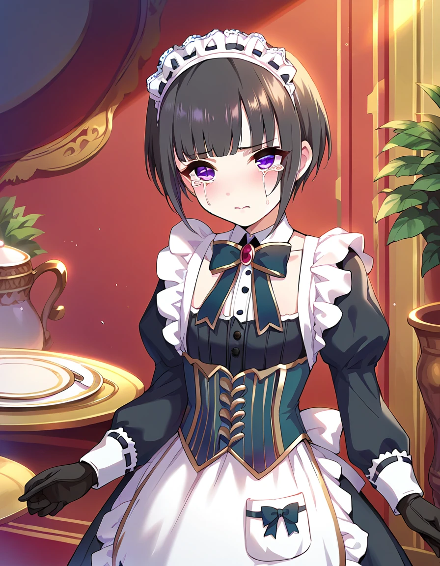  score_9,  score_8_up,  score_7_up, 
pinup of 1girl, Alone, close-up,  , crying,Anguished expression、 embarrassed expression ,  indoor, residence,  carpet, 
the above,
   short hair,  Black Hair ,  short bang ,  purple eyes,    flat chest, Small breasts, 
Maid, enMaided,  Black Dress, Lace trim, Detailed embroidery,  Long Sleeve ,   puff sleeves, Bowtie,  JEWELRY, corset,  White Apron ,  Frill apron ,  Maid headdress,  black gloves, 
Detailed eyes, Eye Reflexes,