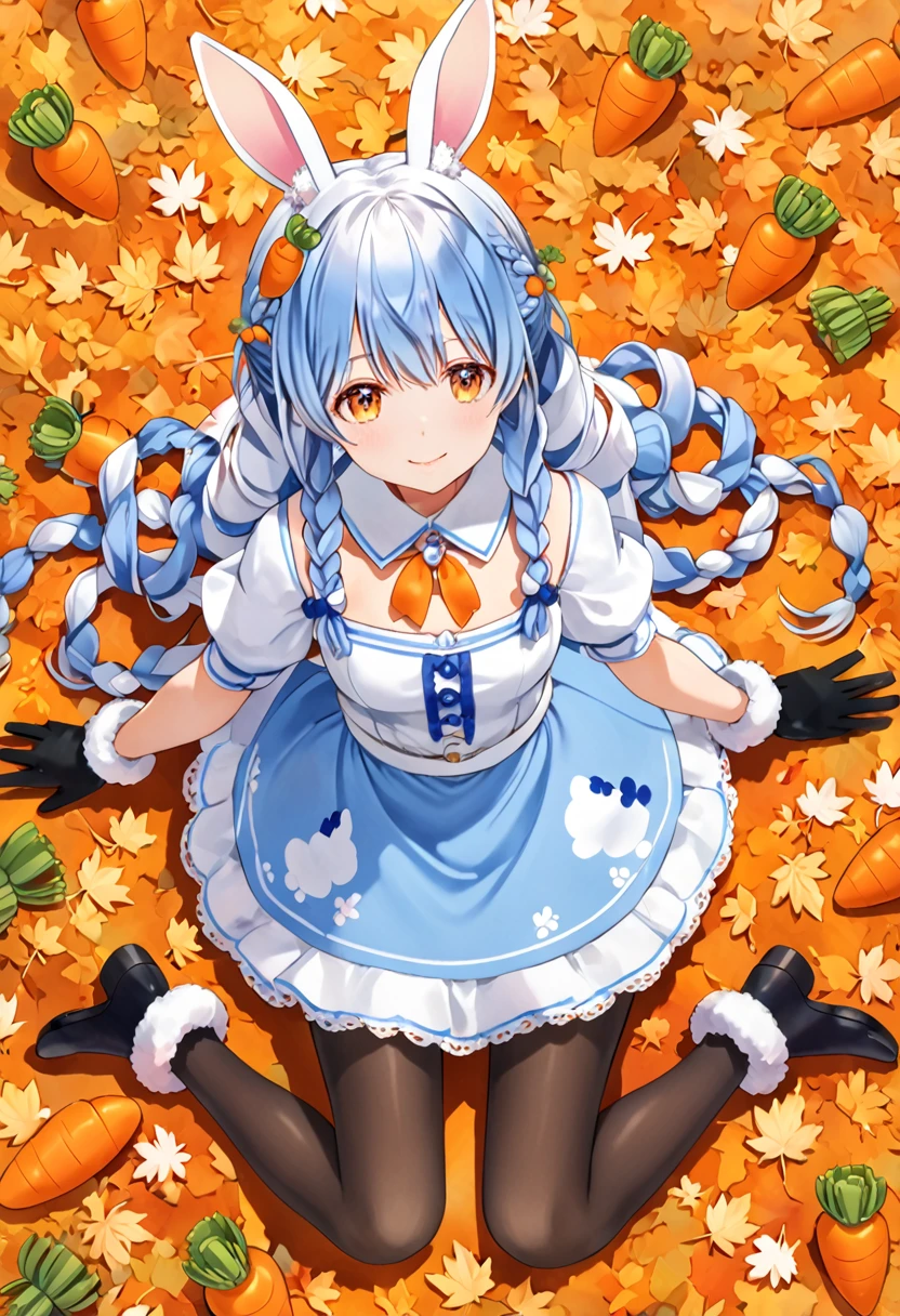 Used Pekora, Extend hands and legs and fall from above,sky, horizon ,Autumn ground, Pekochan _nml,1girl,animal ears,long hair,rabbit ears,gloves,pantyhose,carrot hair ornament,blue hair,hair ornament,food-themed hair ornament,twin braids,animal ear fluff,black gloves,braid,white hair