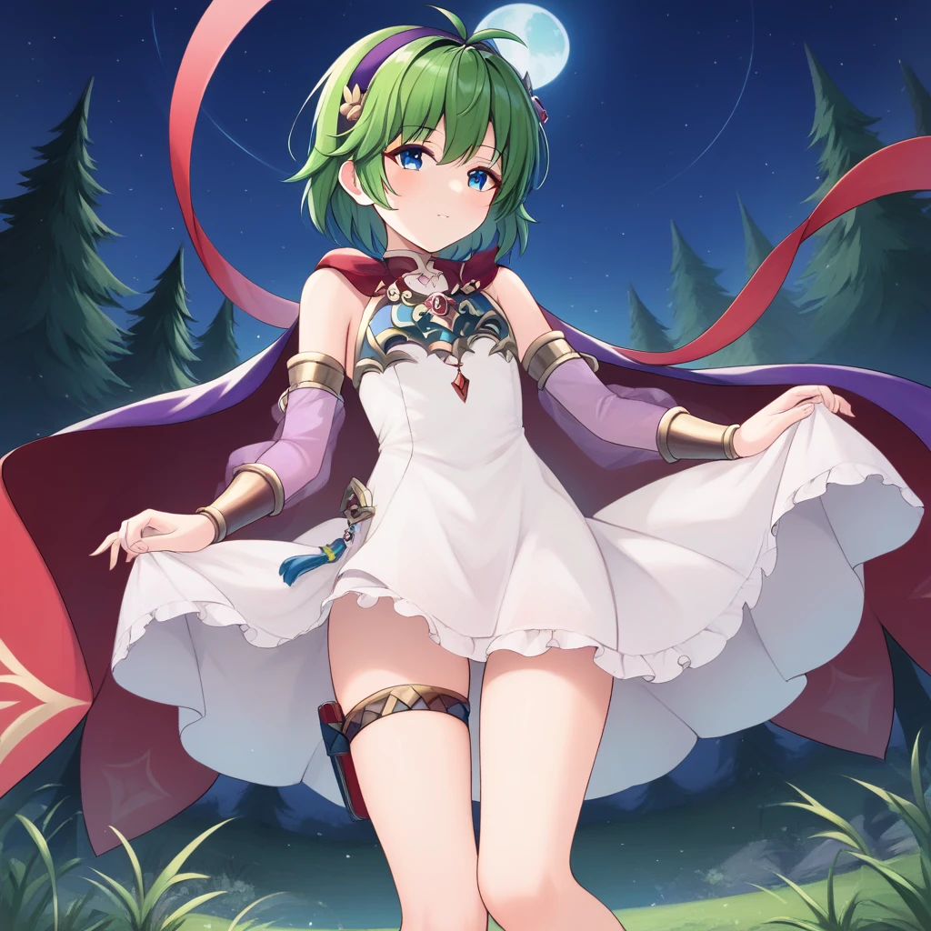 score_9, score_8_up, (masterpiece), best quality, High Resolution, Masterpiece, expressive eyes, perfect face, perfect hands, perfect fingers, perfect anatomy, detached sleeves, white dress, green hair, sandals, ninoss, purple cape, vambraces, hair ornament, see-through sleeves, antenna hair, purple hairband, blue eyes, short hair, moon, night sky, stars, forest, magical circle

blutgang, curved sword, red aura sword, magical blade, floating sword, red glowing blade, thigh strap, dress lift, thighs, perfect thighs, see-through dress