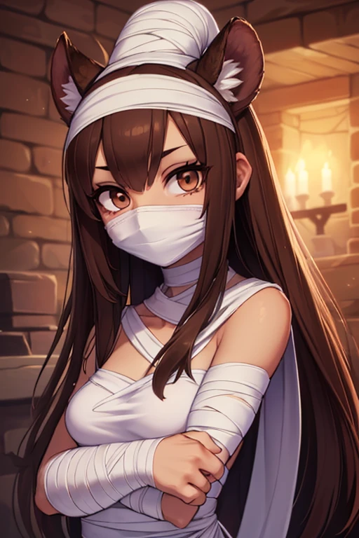 ((Best Quality)), ((masterpiece)),(((Mummy))), 1 person, Brown Hair,  Brown Eyes ,Long Hair, Detailed face,  beautiful eyes,,Tall,Grown-up,Beast Girl,((I'm bandaged all over my body,))