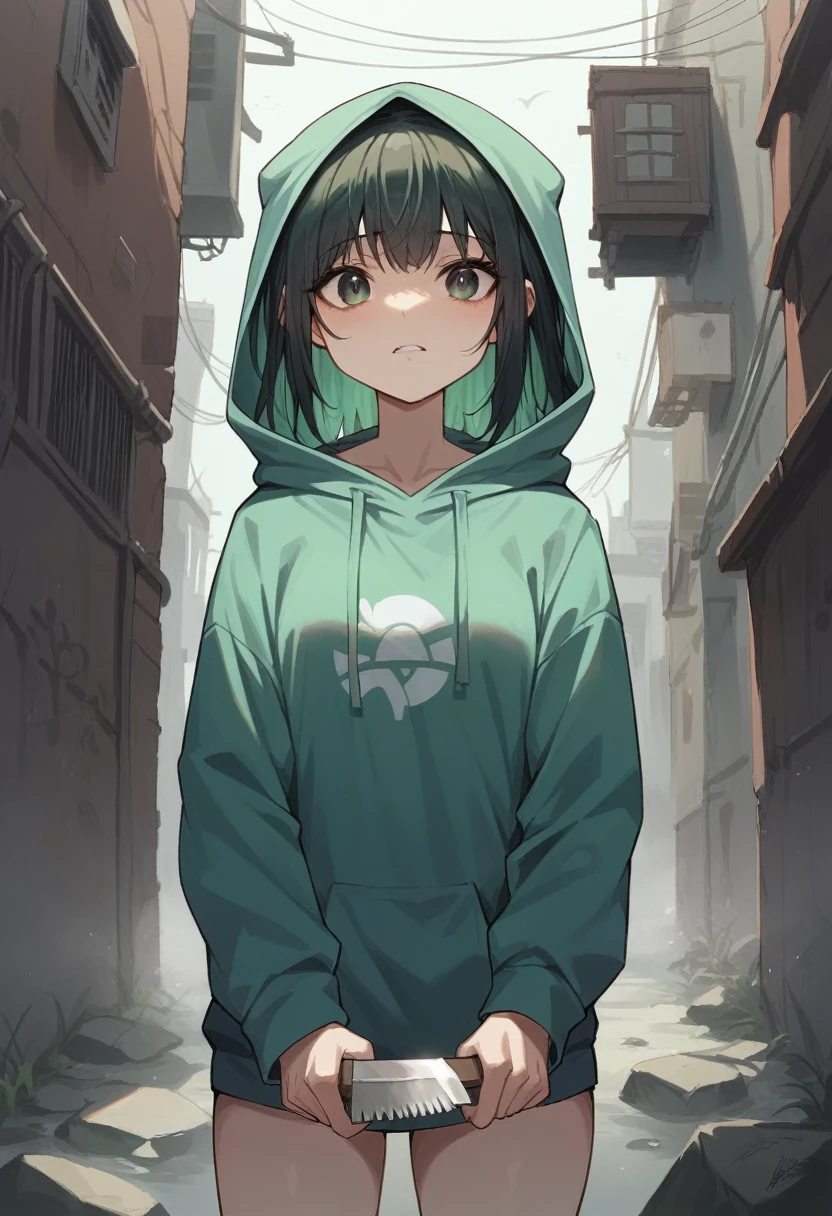  
female,alone,Good Quality , Black Hair , with green hair ,Ruined City , Cotton Hoodie,A small view of the ship, with only his mouth smiles slightly,Dark Dawn,scary atmosphere,Holding a knife in his hand,dark alley,There was a lot of fog,21 years old,