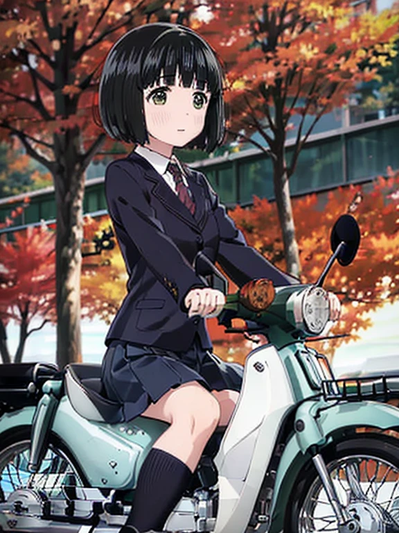 (Masterpiece:1.2)，Best Quality，Highest quality，shape，Beautiful detailed young ，Koguma，Very short stature，Girls (blazer uniform，skirt:1.3)，black stockings:1.2，(I'm riding the Deep Green Super Cub:1.5)，Straddle，(smile:1.0)，( Beautiful Brown Eyes， sparkling eyes，Very beautiful eyes )，( shiny black hair :1.0),( bob cut :1.2),( split bangs :1.3， cowboy shot，autumn，autumnのきれいな紅葉，At dusk，Beautiful sunset，From below，