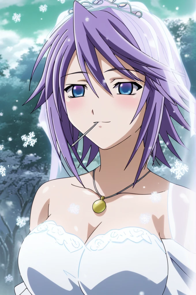 score_9, score_8_up, score_7_up, source anime, prefect lighting, 
Kawai 1girl, shirayuki mizore, rosario+vampire, short hair, blue eyes, big breasts, mizoreyuki, purple hair, anime coloring, anime screencap, looking at viewerA beautiful illustration of Mizore Shirayuki from Rosario + Vampire, wearing a stunning wedding dress. The dress is elegant and flowing, with delicate lace details, a soft, snowy-white color, and a slightly ethereal, icy vibe that complements her character. She stands in a serene winter landscape, surrounded by soft snowflakes falling gently around her, adding a magical, peaceful atmosphere. Mizore’s expression is gentle and calm, with a slight blush, capturing her unique charm and reserved nature. Her lavender hair is styled gracefully, with a few strands framing her face, adding to the romantic feel of the scene, full Hd, 4K, happy