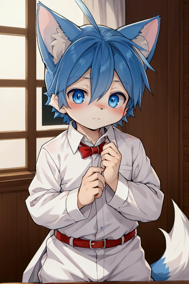 fox，Fox ears，Furry - focus，Shota， high quality，indoor，Blue Eyes，boy-重点，boy