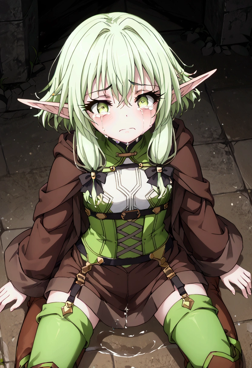  High image quality 、masterpiece、 high quality、Full HD、4K、 View from above 、Put your hands on the ground 、 Green Shortcut 、 Green Eyes 、Elf Ears、  Removes eye highlights 、 Darkens the inside of the eye  、White tops、Green corset 、Brown Robe 、 Black Garter Belt 、Green Stockings、Brown boots、trembling、Scream、Feelings of despair、Frightened、Crying face、tears、 Puddle on the Ground 、Ruins