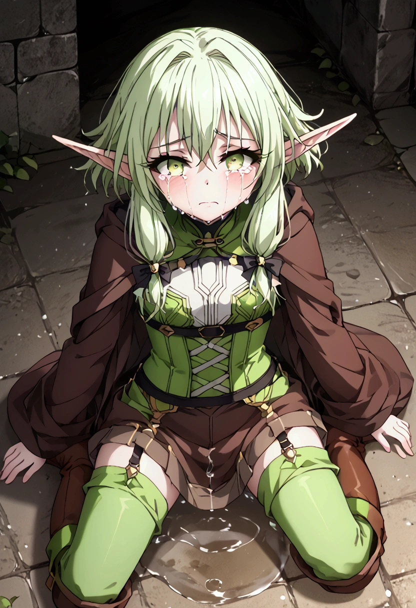  High image quality 、masterpiece、 high quality、Full HD、4K、 View from above 、Put your hands on the ground 、 Green Shortcut 、 Green Eyes 、Elf Ears、  Removes eye highlights 、 Darkens the inside of the eye  、White tops、Green corset 、Brown Robe 、 Black Garter Belt 、Green Stockings、Brown boots、trembling、Scream、Feelings of despair、Frightened、Crying face、tears、 Puddle on the Ground 、Ruins