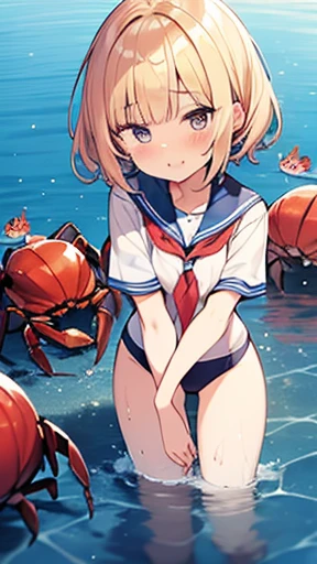 水中でCrabを抱えている水着姿のアニメの女の子, headcrab, Crabコア,  fleet this is kushon style, Crab,  Cute girl anime visual with a butterfly in her hair ,  スプラShuアートアニメ , Shu, shikamimi, Crab, by Kamisaka Sekka, Human Flow，In the water，Crabの女の子， short bob，crab，fine，🦀， sailor suit over school swimsuit，Crabの形の髪留め，