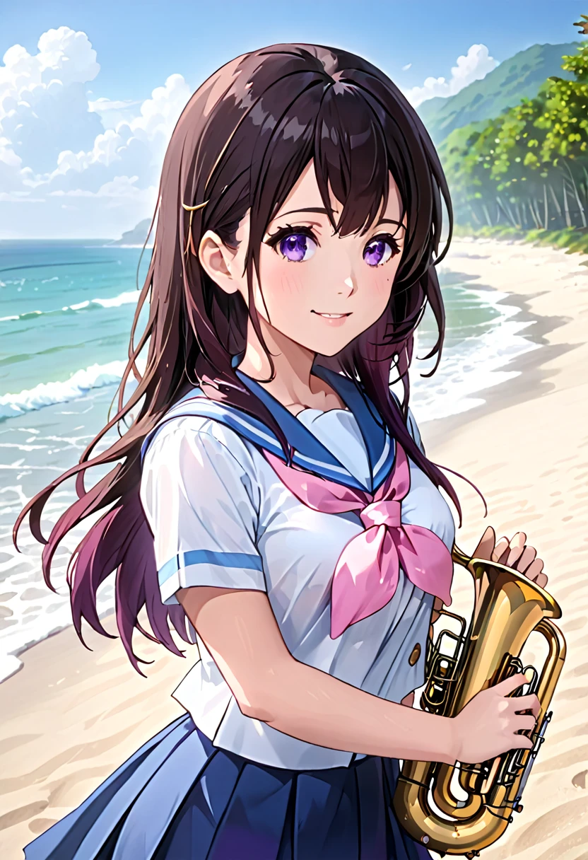 ((((MASTERPIECE)))), best quality, 1 girl, solo,big breasts,Sound! Euphonium,Reina Kousaka,kitauji_high_school_uniform, short_sleeves, blue_sailor_collar, blue_skirt, white_shirt, pink_neckerchief long_hair, black_hair, purple_eyes,Beautiful attention to detail:1.2, (perfect hand, perfect anatomy), super detailed, beautiful face,beach, smile ,pov