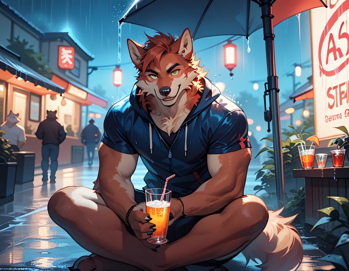 Furry Male Wolf, Sitting down, in Resturant holding glass drink, Rainy night, looking up at viewer.