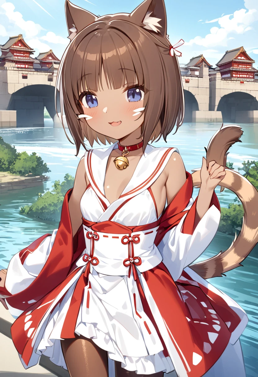 Best Quality、 one girl、ender body、 small breasts、 Shiny Brown Hair 、pattern with three red whiskers、 short bob、Cat ears and tail、Dark blue eyes、Brown Skin、Red and white shrine maiden costume、Brown tights、Collar with bells、Proud expression、Edo Castle Town、 light shines in 、 strong winds are blowing in front of the river