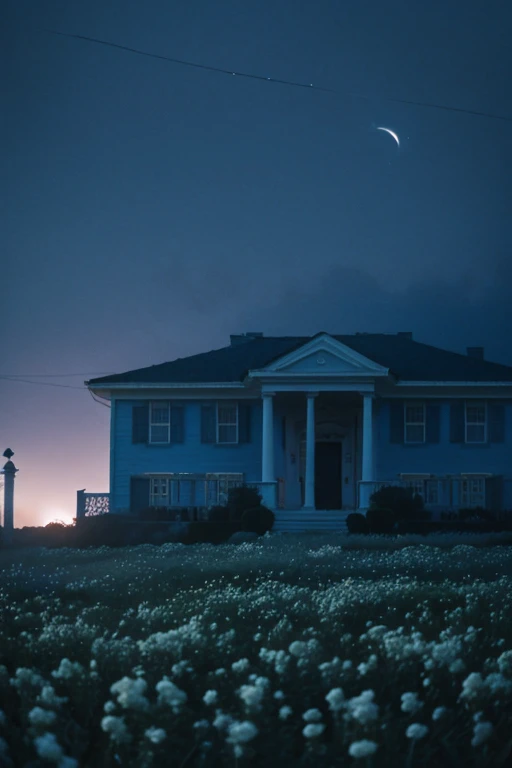 a white dreamy house with flowers, luxury bedroom, retro, foggy, soft focus, year of 1995, cool lighting, muted pastel colors, glowing atmosphere, dramatic shadows, cinematic composition, dream-like quality, ethereal, romantic, soft focus photography, dark blue hour, midnight, windy, marble, hazy