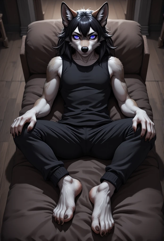 a young wolf boy lying on a sofa, full body, (((completely hypnotised))), wearing a black tank top and black sweatpants, barefoot, with nice feet, paws, showing soles to viewer, pawpads, (((hypnotized eyes))), (((glowing eyes with spirals))), anime