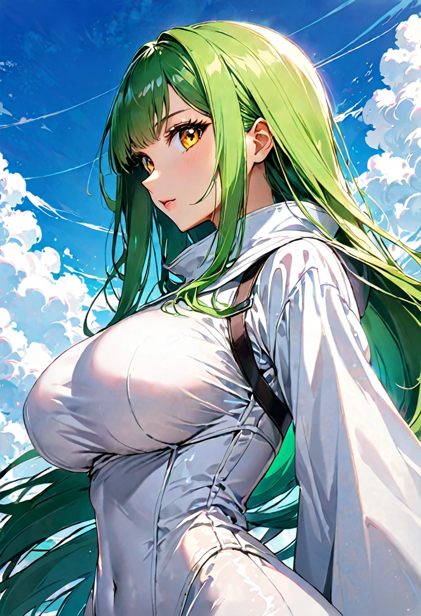 score_9, score_8_up, score_7_up, score_6_up, source_anime, 1girl, solo, cgcc, green hair, very long hair, yellow eyes, white bodysuit, straitjacket, black straps, wide sleeves, big breasts, upper body, from side, looking at you, blue sky, clouds, covered navel
