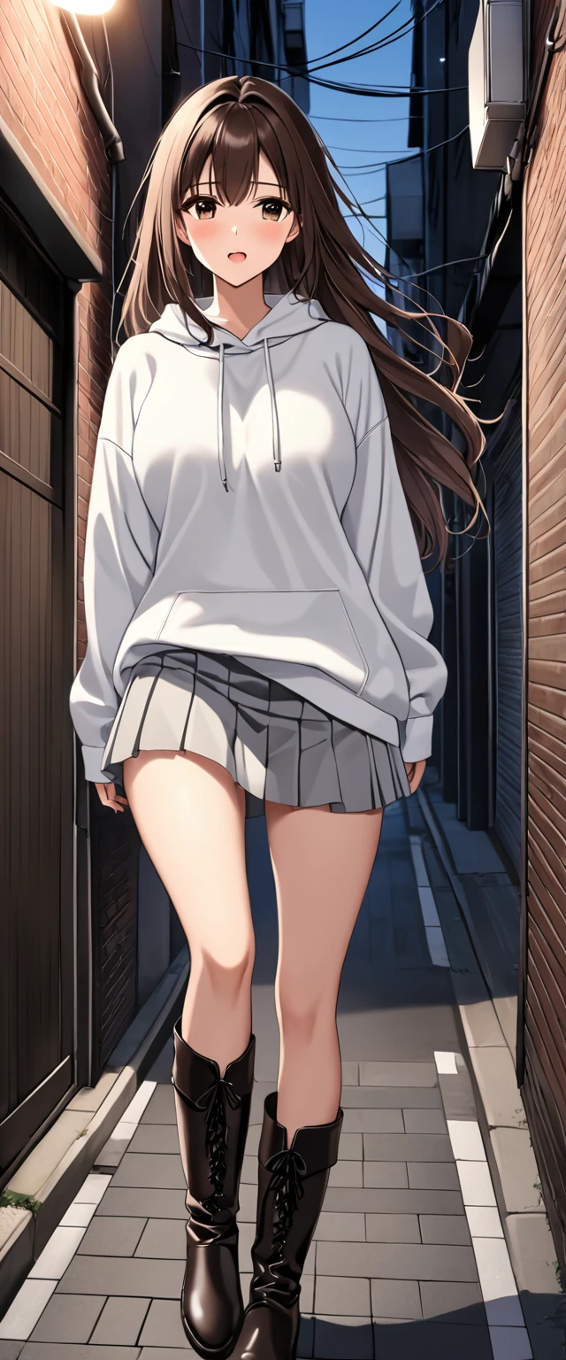 nsfw、Beautiful girl with dark brown hair 、Beautiful breasts、 long hair、beautiful dark brown eyes、white sweatshirt、grey fluttering skirt、erotic black panties、 black long boots、 embarrassing、alley、evening