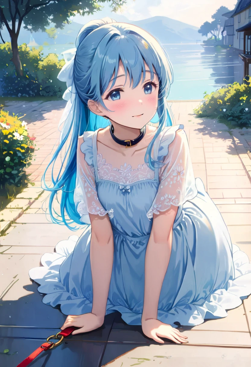 masterpiece, best quality, extremely detailed, (illustration, official art), 1 girl ,(((( light blue long hair)))), ,(((( light blue long hair)))),light blue hair, , long hair ((blush)) , cute face, masterpiece, best quality,(((((a very delicate and beautiful girl))))),Amazing,beautiful detailed eyes,blunt bangs((((little delicate girl)))),tareme(true beautiful:1.2), sense of depth,dynamic angle,,,, affectionate smile, (true beautiful:1.2),,(tiny 1girl model:1.2),)(flat chest) ,score_9,score_8_up,score_7_up,score_6_up, masterpiece,best quality, source anime,,((shy)) rating_explicit,uncensored, zPDXL2,sexually suggestive, BREAK girl,eyes,hair,upper body,(collar attached leash),blush,outdoors,all fours, Casual clothes
