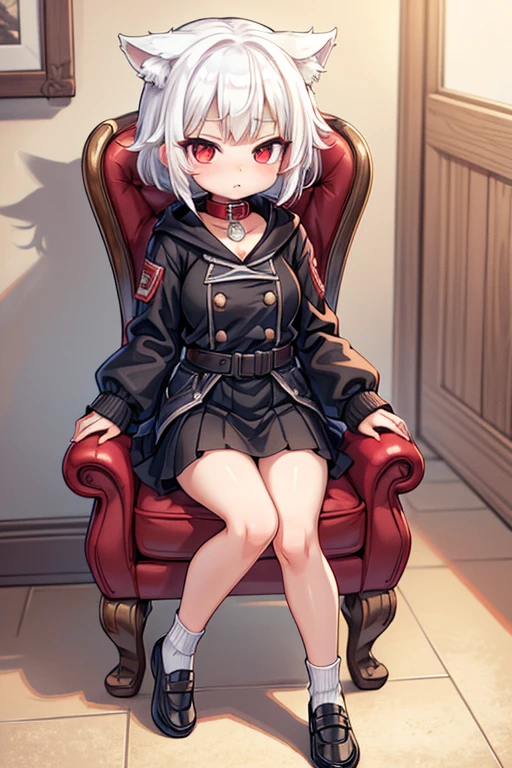 the best quality, 4k, masterpiece, a girl, mini breast, red eyes, white hair, short-medium hair, wolf girl, white tail, black long coat, black long skirt, black belt, red collar, black clothes